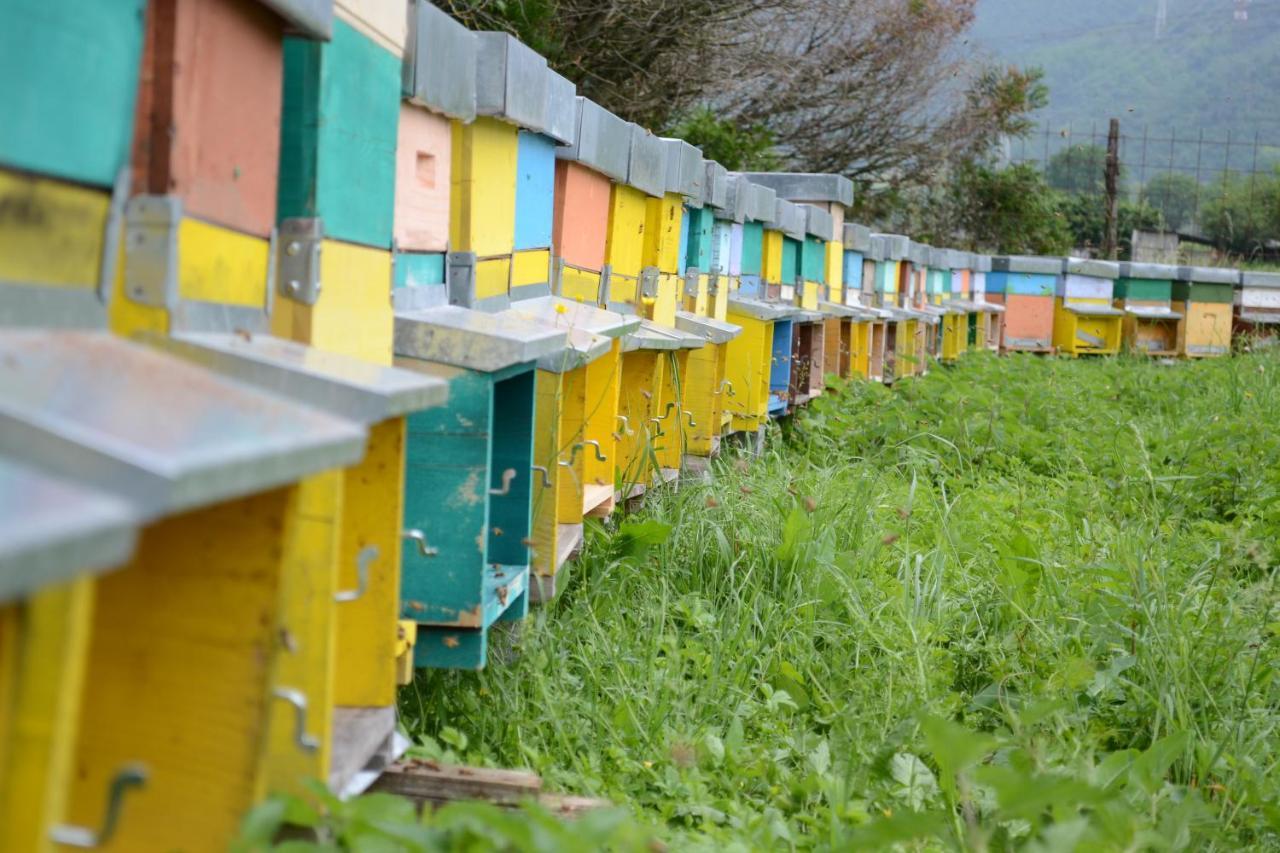 Agriturismo Dalla Natura La Salute Giustino Екстериор снимка