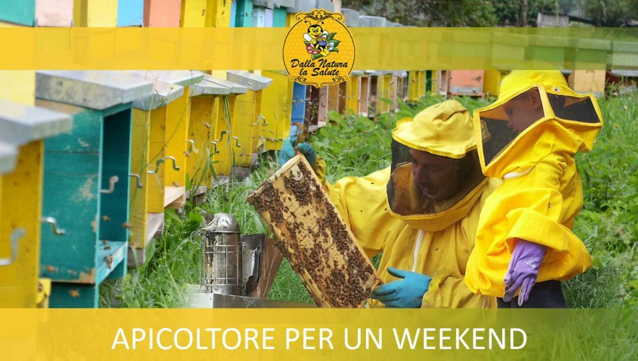 Agriturismo Dalla Natura La Salute Giustino Екстериор снимка